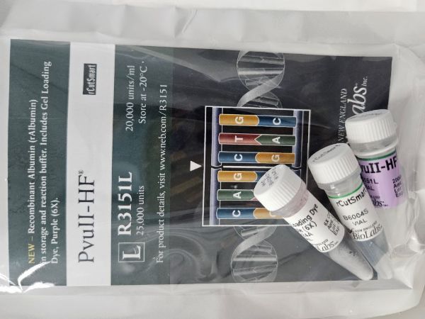 Picture of (L) PvuII-HF 