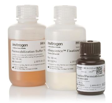 Picture of eBioscience Foxp3 / Transcription Factor Staining Buffer Set