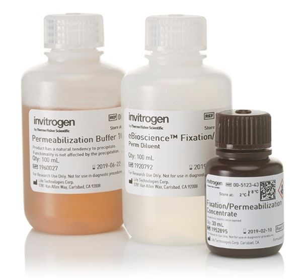 Picture of eBioscience Foxp3 / Transcription Factor Staining Buffer Set