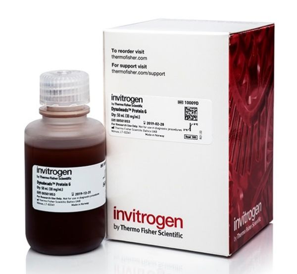 Picture of Dynabeads Protein G for Immunoprecipitation (20 tests)