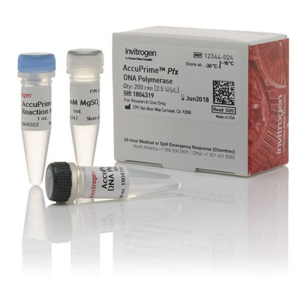 Picture of AccuPrime Pfx DNA Polymerase (200 reactions)