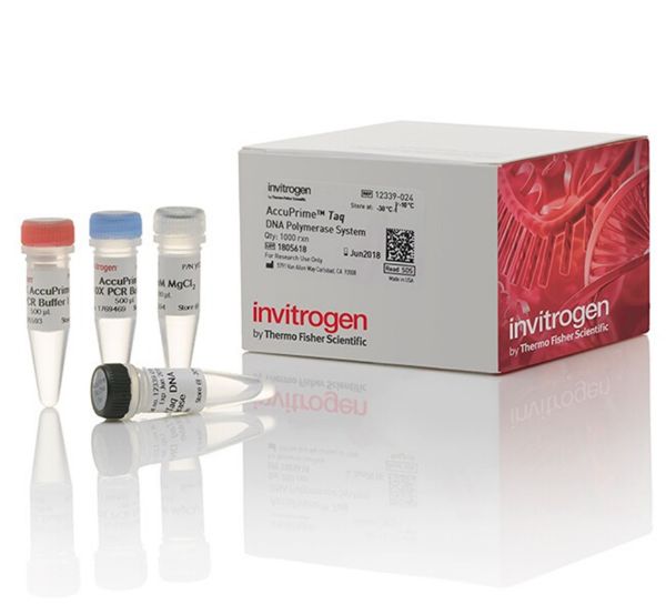 Picture of AccuPrime Taq DNA Polymerase, high fidelity (200 reactions)