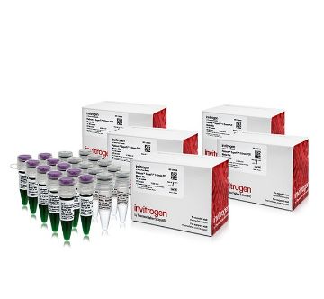 Picture of Platinum SuperFi II Green PCR Master Mix (500 reactions)