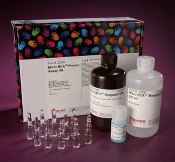 Picture of Micro BCA Protein Assay Kit