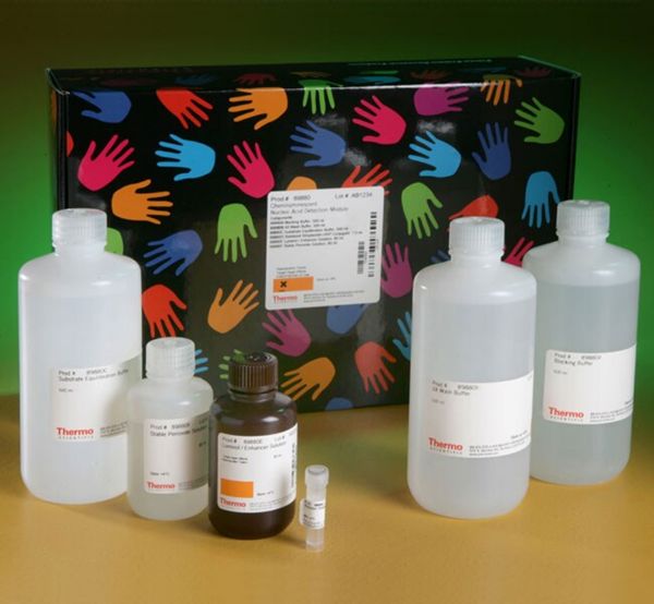 Picture of Chemiluminescent Nucleic Acid Detection Module Kit (10 blots)