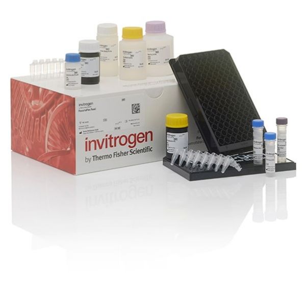 Picture of ProcartaPlex Mouse Cytokine & Chemokine Convenience Panel 1A, 36-Plex