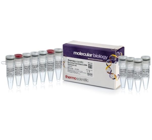 Picture of RevertAid H Minus First Strand cDNA Synthesis Kit (100 reactions)