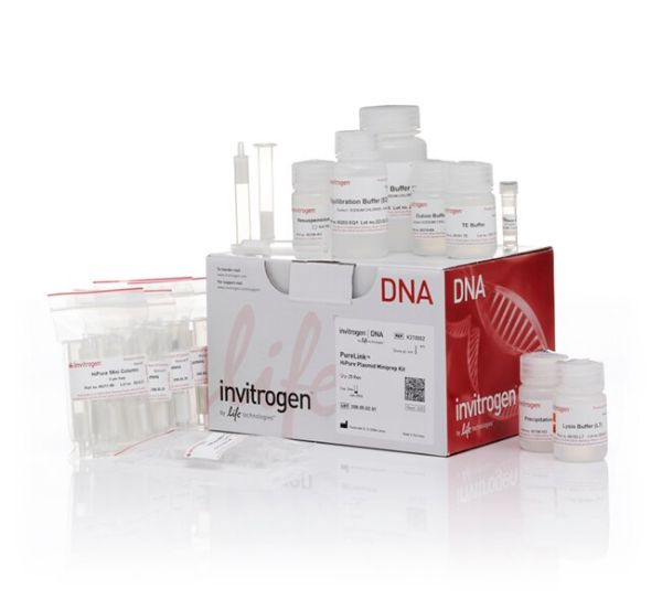 Picture of PureLink HiPure Plasmid Miniprep Kit (100 preps)