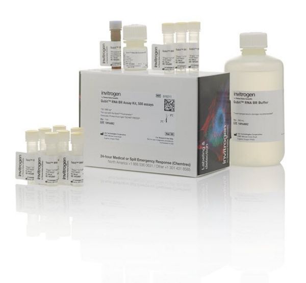 Picture of Qubit RNA Broad Range BR Assay Kit - 500 assays