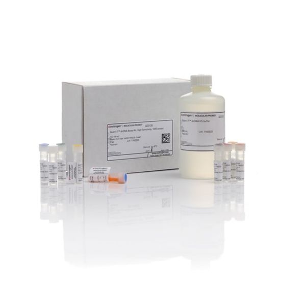 Picture of Qubit dsDNA High Sensitivity (HS) Assay Kit (100 assays)