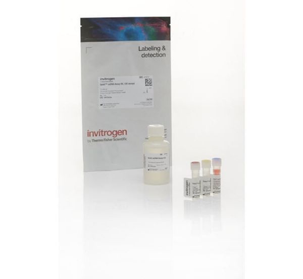 Picture of Qubit RNA High Sensitivity (HS) Assay Kit (500 assays)