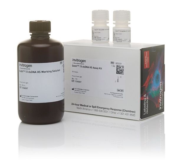 Picture of Qubit 1X dsDNA High Sensitivity (HS) assay kit (500 assays)