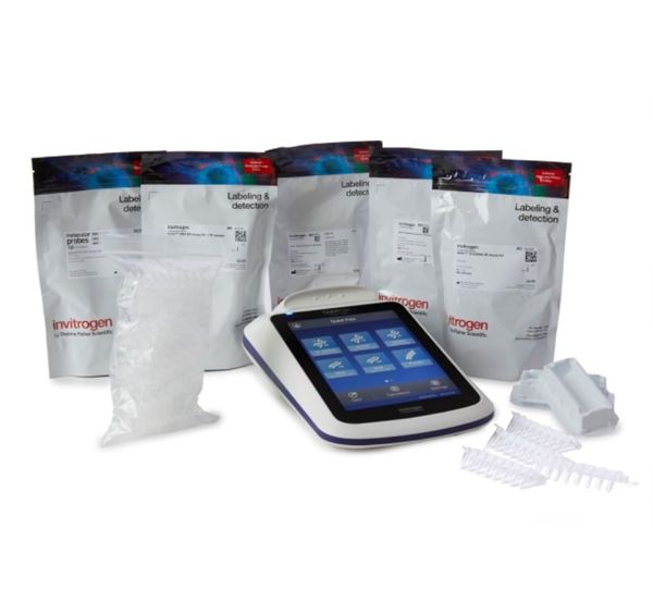 Picture of Qubit Flex Assay Tube Strips (125 tube strips)