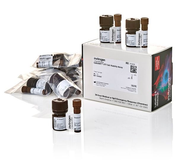 Picture of CyQUANT XTT Cell Viability Assay