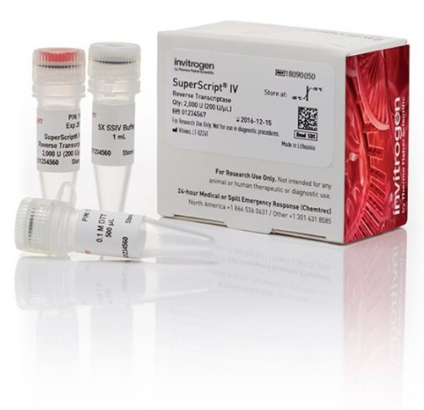 Picture of SuperScript IV Reverse Transcriptase (10,000 units)