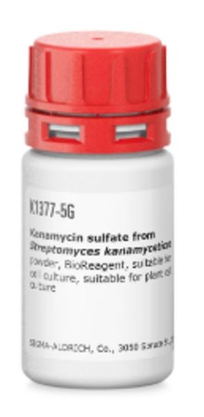 Picture of Kanamycin sulfate from Streptomyces kanamyceticus, BioReagent
