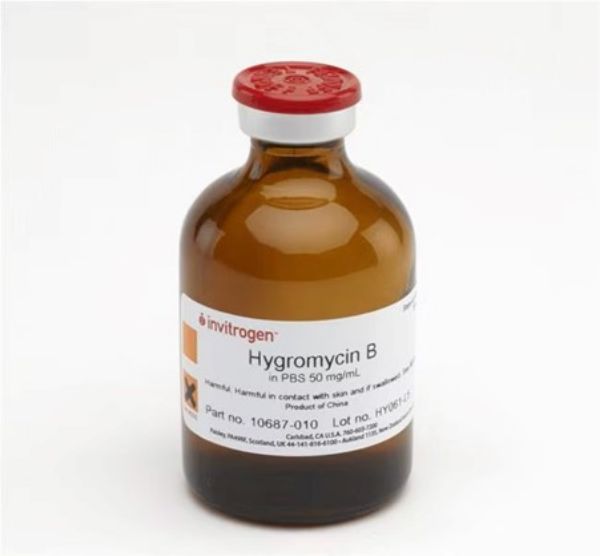 Picture of Gibco Hygromycin B (50 mg/mL)