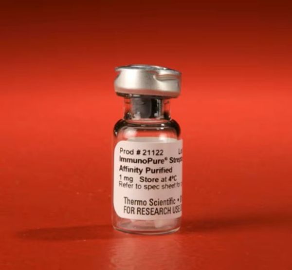 Picture of Pierce™ Streptavidin