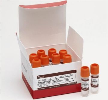 Picture of Gibco™ Blasticidin S HCl (10 mg/mL)