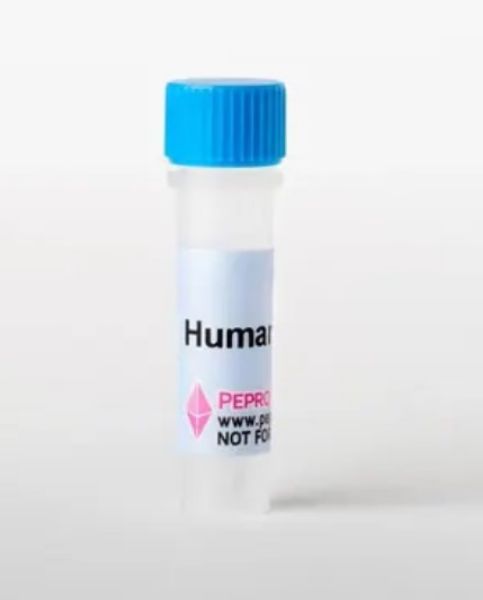Picture of Human IL-4, Animal-Free Recombinant Protein, PeproTech®