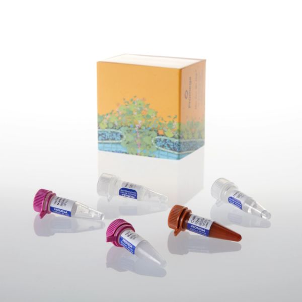 Picture of GoTaq Probe qPCR Master Mix, 2ml