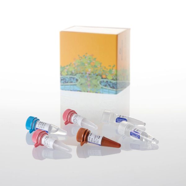 Picture of GoTaq Probe 1-Step RT-qPCR System, 2ml