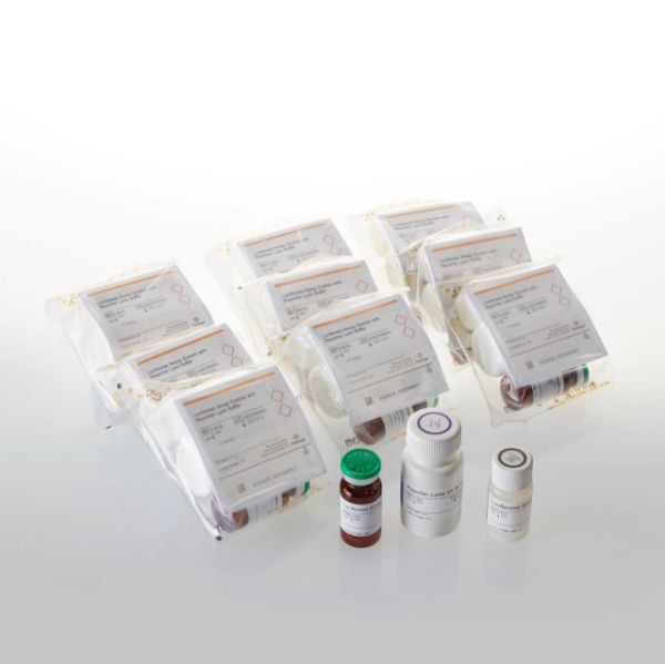 Picture of Luciferase Assay System Freezer Pack, 10x100 assays