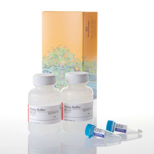 Picture of CellTiter-Fluor Cell Viability Assay, 2 x 50ml
