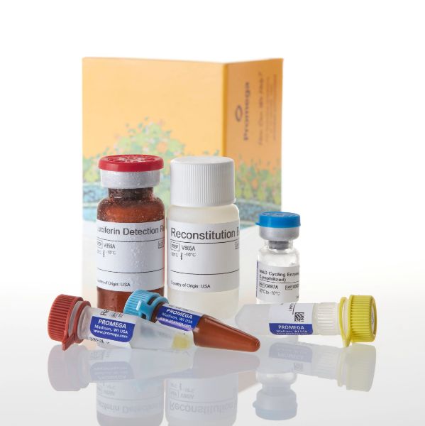 Picture of NAD/NADH-Glo Assay, 10ml