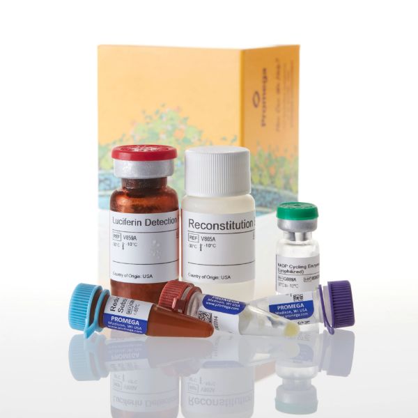 Picture of NADP/NADPH-Glo Assay, 10ml