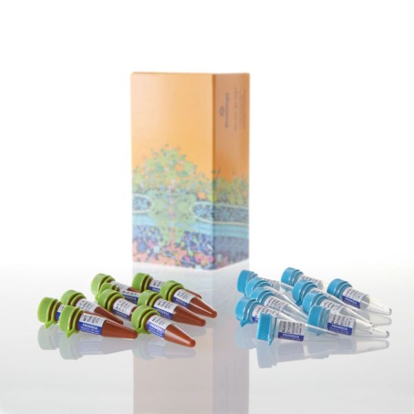 Picture of RealTime-Glo MT Cell Viability, 10X100 reactions