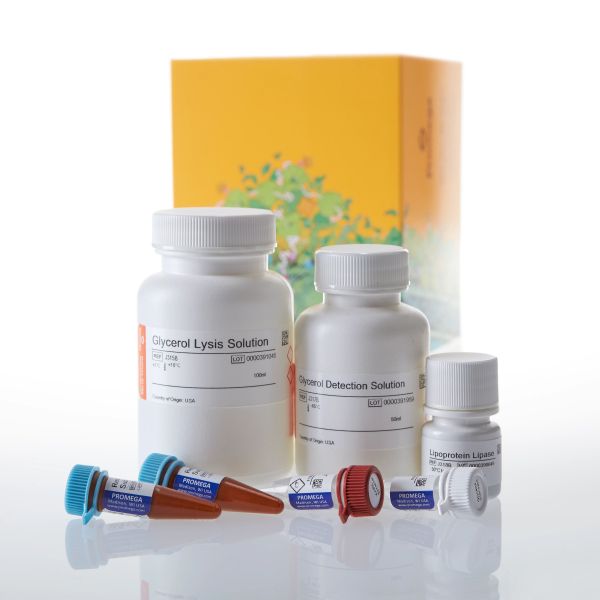 Picture of Triglyceride-Glo Assay, 50ml