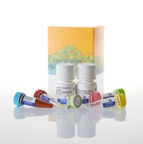 Picture of Glutamine/Glutamate-Glo Assay, 5ml