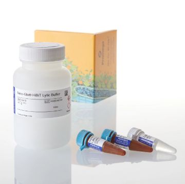 Picture of Nano-Glo HiBiT Lytic Detection System, 10X100ml