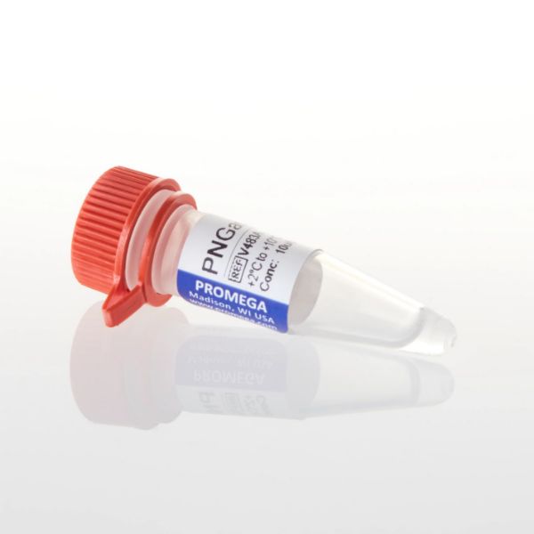 Picture of PNGase F, 500 units