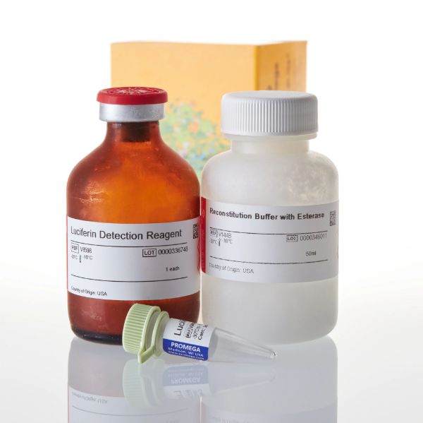 Picture of P450-Glo CYP3A4 Assay with Luciferin, 50ml
