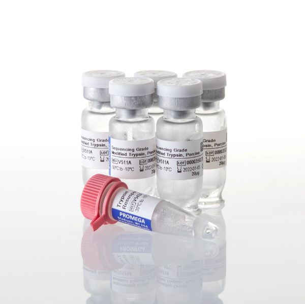 Picture of Sequencing Grade Modified Trypsin, 100ug