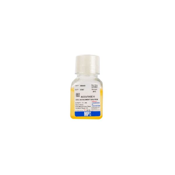 Picture of Accutase, 100 mL