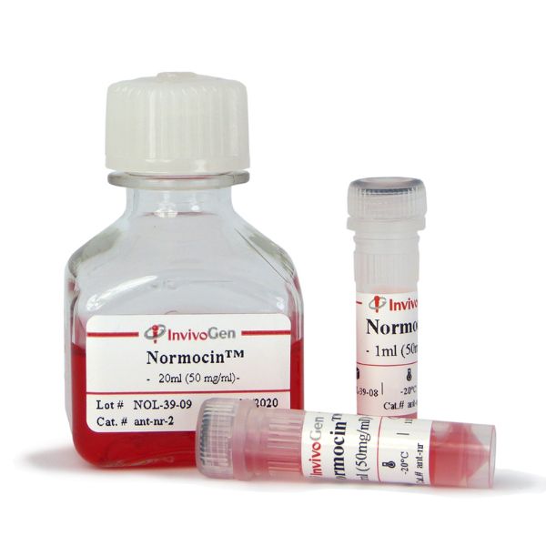 Picture of Normocin 500 mg (10 x 1 ml)